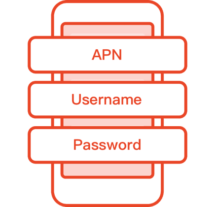apn step